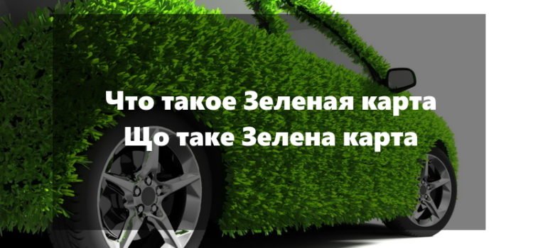 zelenaya-karta1